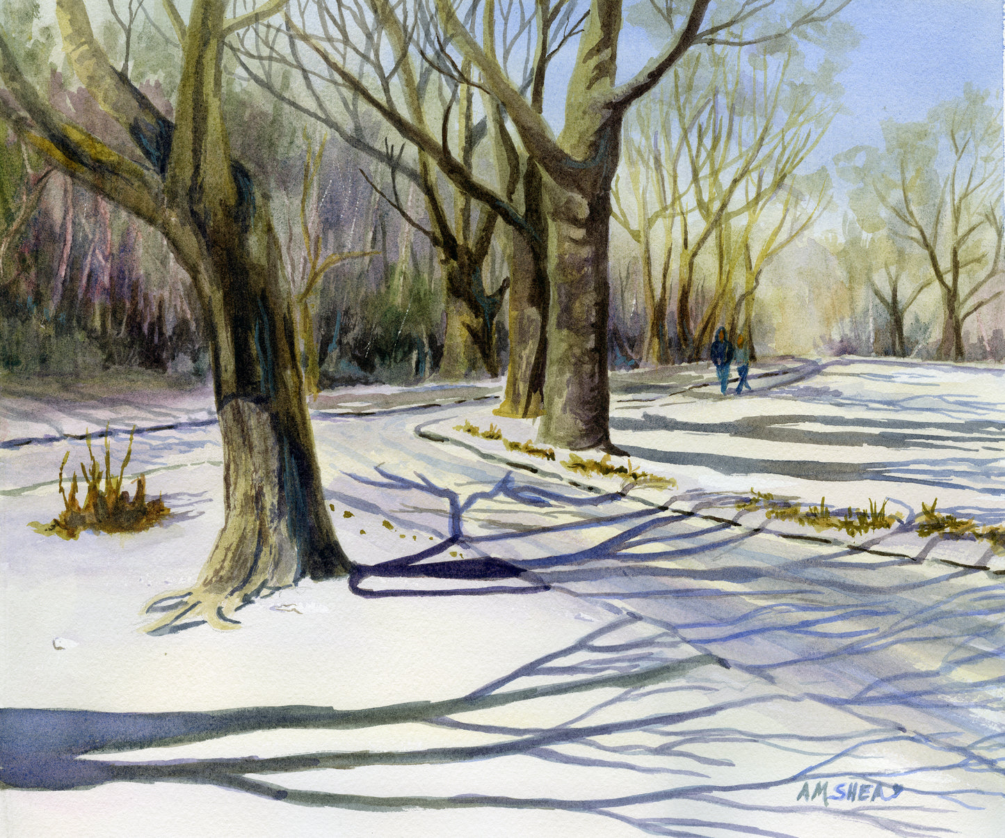 Winter Stroll, Peter's Field Park