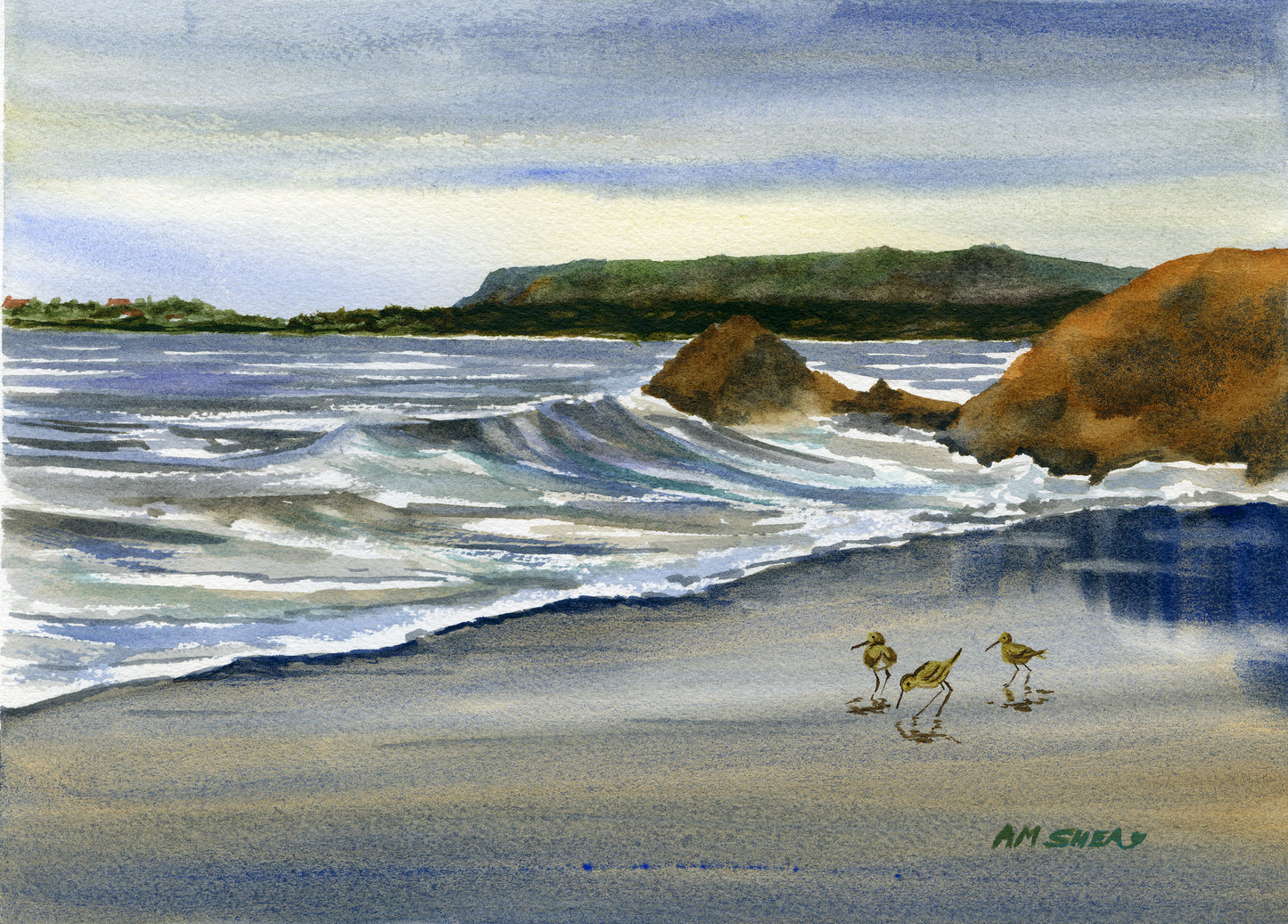 Sand Pipers, North Bay Beach