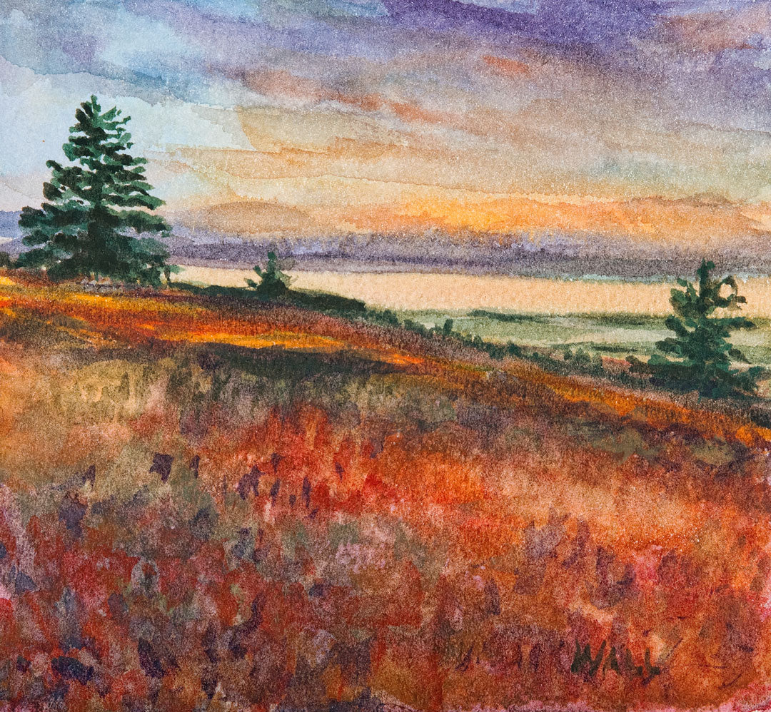 Shore Cranberry Field